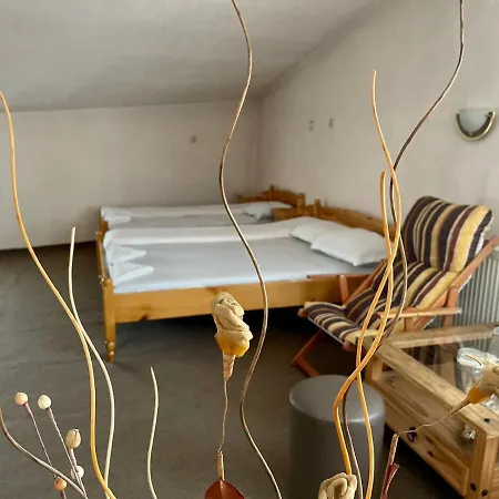 с механа баджо