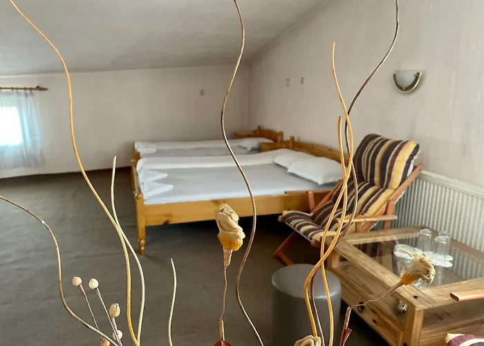 с механа баджо