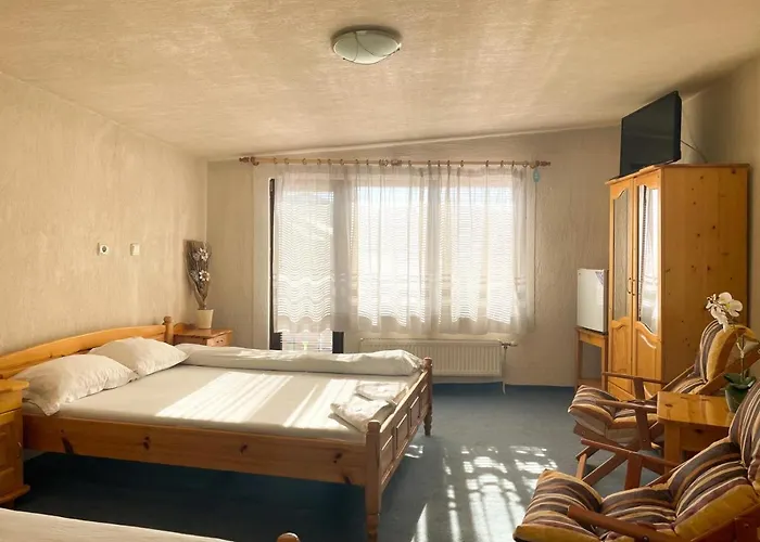 с механа баджо *